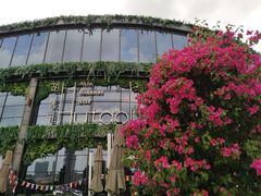 -时光码头民谣公社