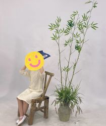 -韩国童感TOUCH PHOTO儿童摄影(朝阳分店)