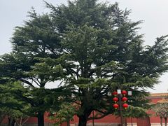 -北京市劳动人民文化宫(太庙)