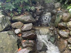 -天目湖山水园
