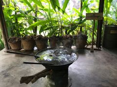 -大象粑粑造纸公园