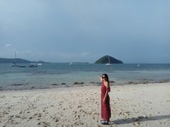 -珊瑚岛