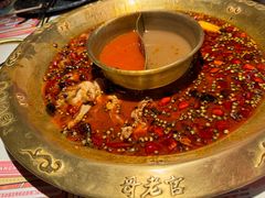 -哥老官重庆美蛙鱼头(龙湖杭州金沙天街店)