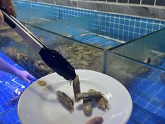 -海韵之星邮轮水会(明发商业广场店)