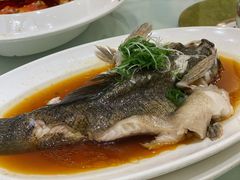 笋壳鱼-金时代顺风大酒店(金山店)