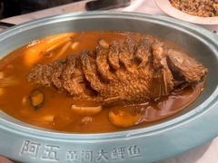 红烧黄河鲤鱼-阿五黄河大鲤鱼(英协路店)