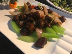 -云中小雅