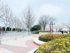 -迪士尼小镇