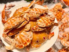 -安蒂娅·海鲜自助餐厅(安蒂娅美兰酒店)