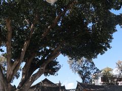 -巍山古城
