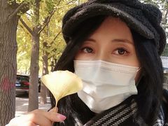 -三里屯东五街银杏大道