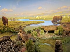 -陕西自然博物馆