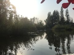 -白洋淀景区