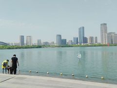-天鹅湖体育公园