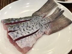 -正能量脆肉鲩火锅