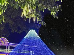 -巨鹏飞梦幻海岸