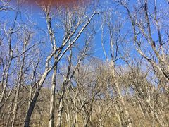 -罗田薄刀峰风景区