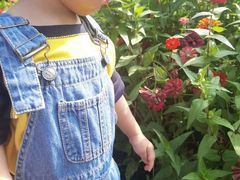-黑龙江省森林植物园