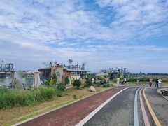 -空港花田景区