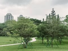 -荔香公园