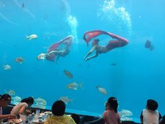 -瑞德姆美人鱼海底演艺主题餐厅(亚龙湾店)