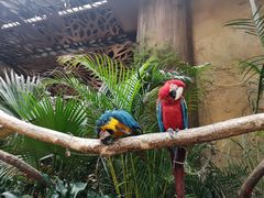 -杭州开元森泊度假乐园