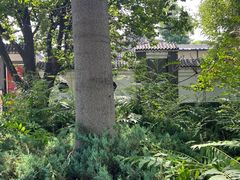 -天津戏剧博物馆