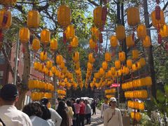 -攀枝花公园