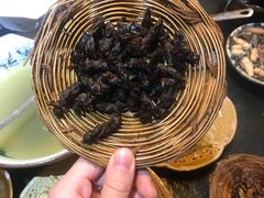 -昆虫窝子·特色云南菜(拓东路总店)
