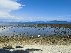 -小海豚•老字号海鲜餐厅(天涯店)