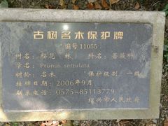 android_upload_pic-府山公园