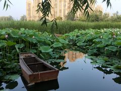 -前关湿地公园