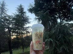 -铁山坪森林公园