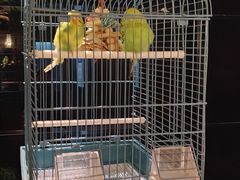 -同庆楼(天鹅湖万达店)