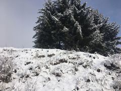 -太子岭滑雪场