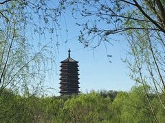 -永定河休闲森林公园