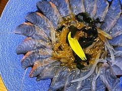 薄切鲷鱼-富山日式料理(宽厚里店)