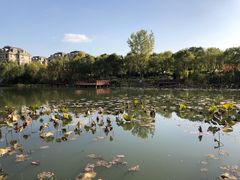 -新江湾城公园