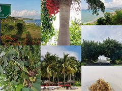 -石梅湾艾美度假酒店