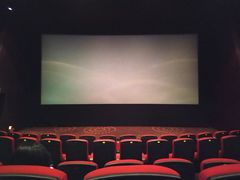 -万达影城(洛阳万达广场IMAX激光店)