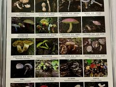 -蔼若春.传承三十年云南菜(金碧公园店)