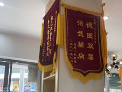 -芭比堂动物医院·心脏科·老年急重症·夜诊·吉雅分院