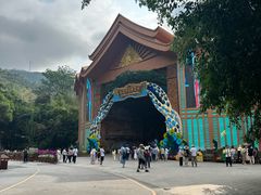 -西双版纳原始森林公园