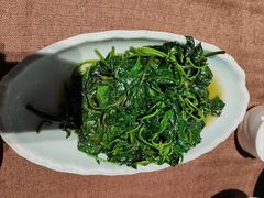 -樽宴酒楼·地道川菜·品质聚会·生日宴请