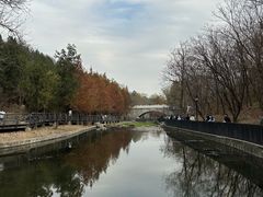 -白水寺森林公园