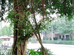 -观澜湖华谊冯小刚电影公社(百年记忆公社)