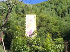 -将军关探险漂流