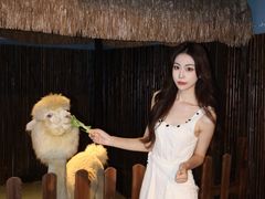 -重庆欢乐海底世界