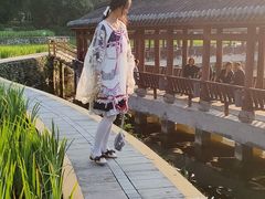 -龙头寺公园