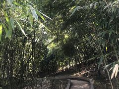 -菊花台公园